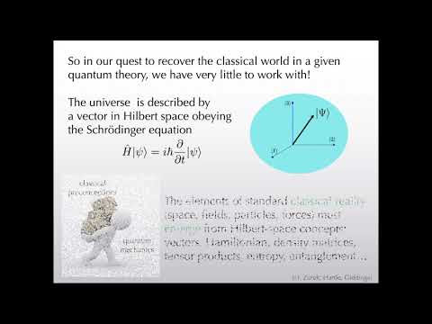 Sean Carroll - Extracting the Universe from the Wave Function​