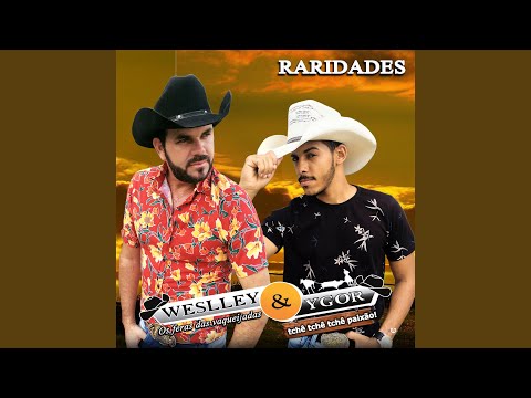 Reincidente video