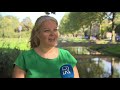 Zorgen om middenstand, horeca en sportclubs bij Rotterdamse politici: 'Markthal kan omvallen'