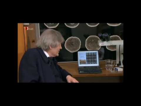 Unser Wissen ist ein Tropfen