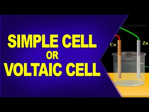 What is meant by a simple cell?