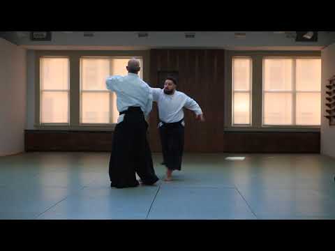 Gary Snyder Sensei - Various Aikido Techniques