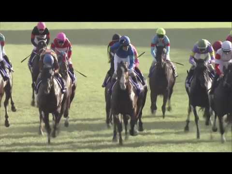 2019 Sprinters Stakes International Group 1 1200m