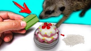 DIY СТРАННЫЙ СЛАДКИЙ ЯПОНСКИЙ ТОРТ из ПОРОШКА ... СУРИКАТ ПРОБУЕТ ЗЕЛЁНЫЙ ШОКОЛАД !