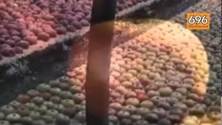 incontro-serbia-campania-per-le-eccellenze