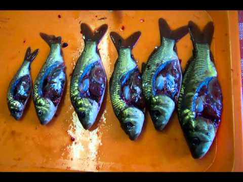 90 let MO Karviná rok 2013