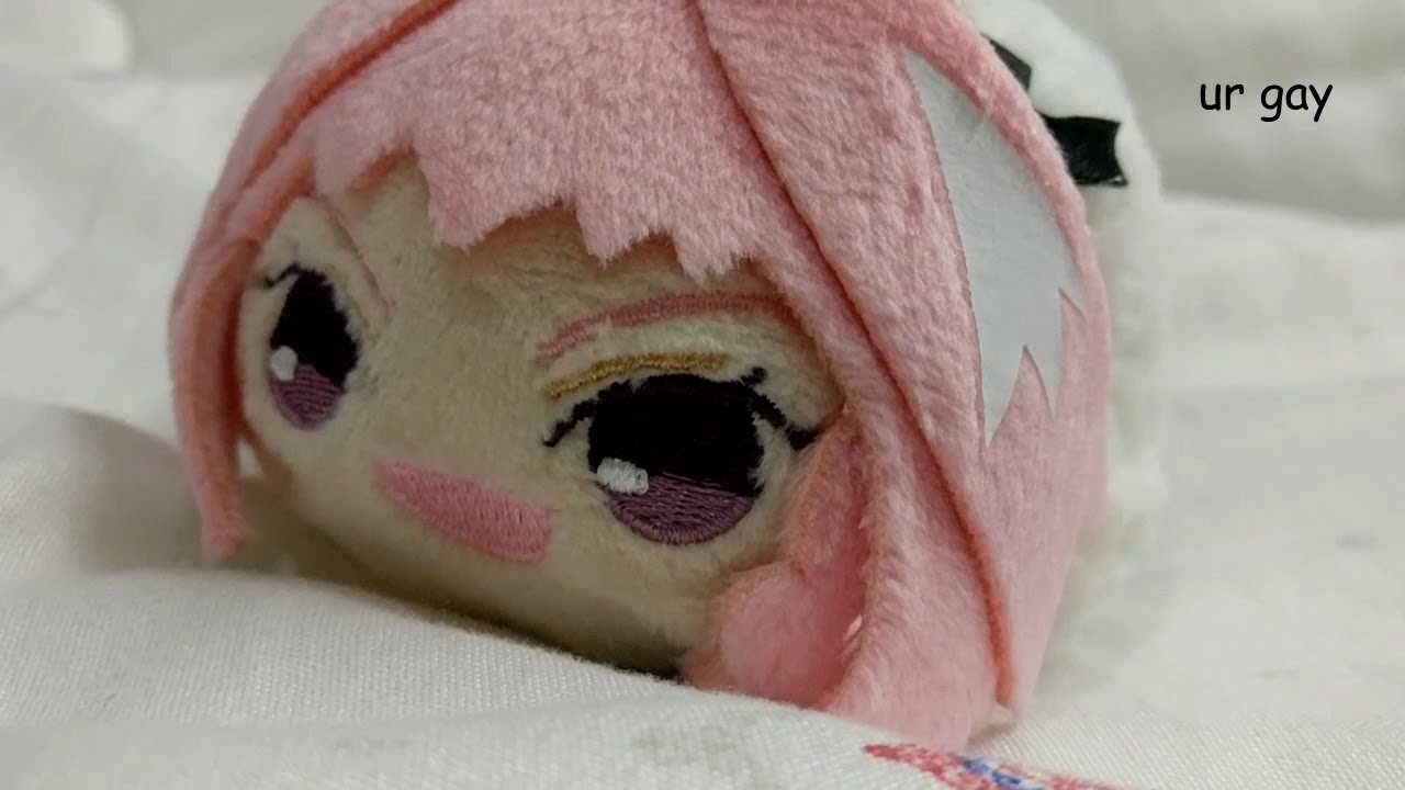 REAL Haunted Astolfo Bean Plushie Unboxing