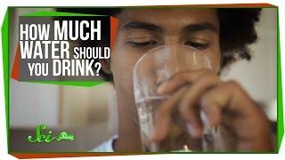 World’s Most Asked Questions: How Much Water Should I Drink a Day?