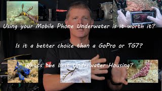 Using your Iphone or Android phone underwater