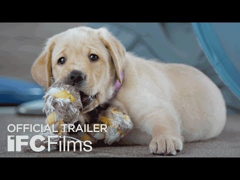 Pick Of The Litter (2018) Official Trailer