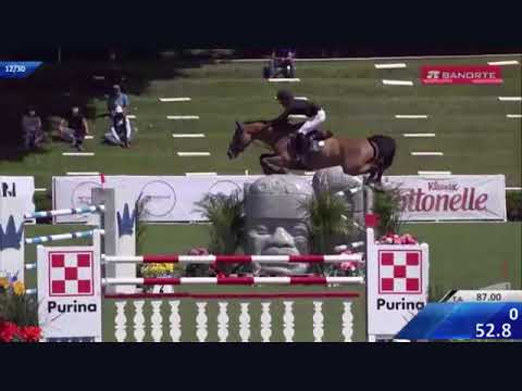 Haraminka. Mare by Verdi. Competing up to 5* Level