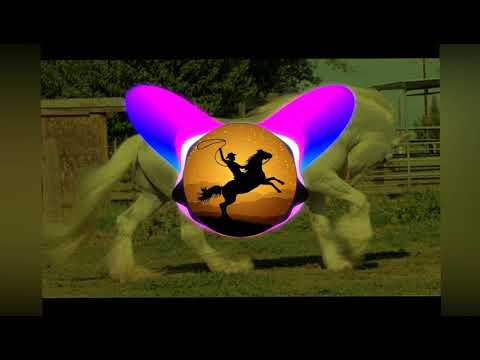 APRENDI A MALTRATAR - TARCÍSIO DO ACORDEON (COM GRAVE)