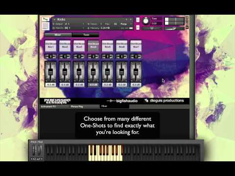 Percussion Sessions KLI Series Overview One Shots