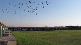 25/07 / 2017- VIDEO ENTRENAMIENTO PEREIRO