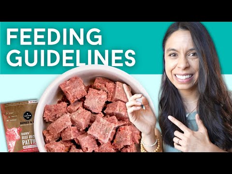 Feeding Guidelines for Bones & Co. Raw Dog Food: Your Questions, Answered!