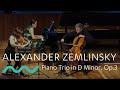 ALEXANDER ZEMLINSKY: Piano Trio in D Minor, Op.3