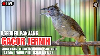 Download lagu #1🔴 KAPAS TEMBAK GACOR PANJANG SUARA JERNIH - MASTERAN AMPUH UNTUK SEGALA JENIS BURUNG CEPAT MASUK mp3