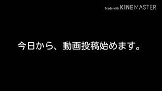 動画投稿始めます