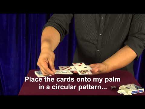 Magnetized Cards by Gary Plants (2)