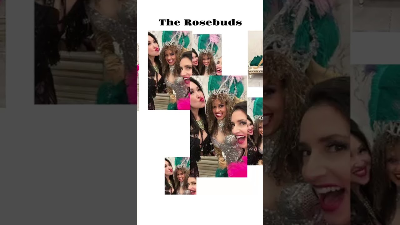Promotional video thumbnail 4 for The Rosebuds