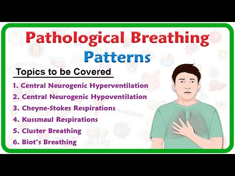 Pathological breathing / Abnormal breathing patterns : Kussmaul, Cheyne stokes, Biot's, Cluster