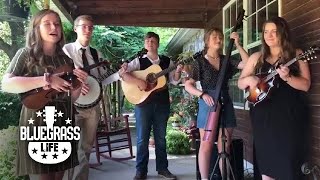 &quot;I Don&#39;t Know Why&quot; (Alison Krauss Cover) by Po&#39; Anna | Bluegrass Life