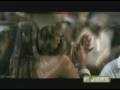 Young Jeezy Ft Manie Fresh And Then What RamVideosTimka