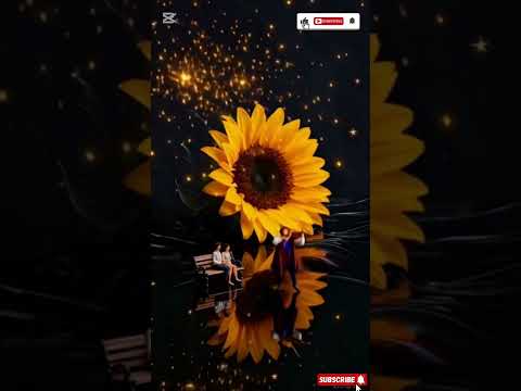 #aguaray #salta #folklore