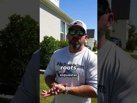 How Short Should You Cut Your Grass?