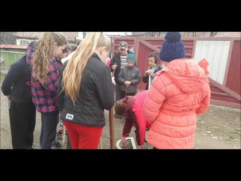 VIDEO TESTIMONIAL DIRECTOR