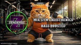 Download lagu πͺπ₯ GYM & CALISTHENICS WORKOUT MUSIC MIX | BASS BOOSTED | HARD TRAINING & MOTIVATION mp3 Download lagu πͺπ₯ GYM & CALISTHENICS WORKOUT MUSIC MIX | BASS BOOSTED | HARD TRAINING & MOTIVATION mp3
