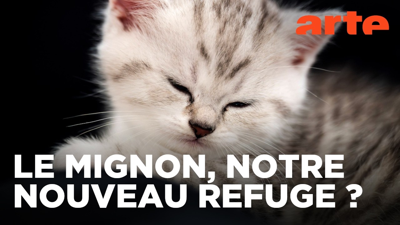 La tendance à la mignonnerie | Twist | ARTE