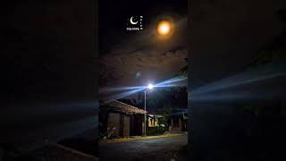 Download lagu story wa || perempuan yang sedang dalam pelukan - payung teduh mp3