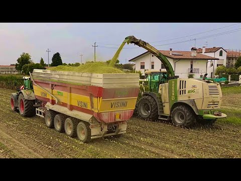 Krone BigX 1100 🚜 | Fendt 942 + Visini Tetra 4-Axle | 🌽 Corn Shredder 🌽 | TeamGialloVerde
