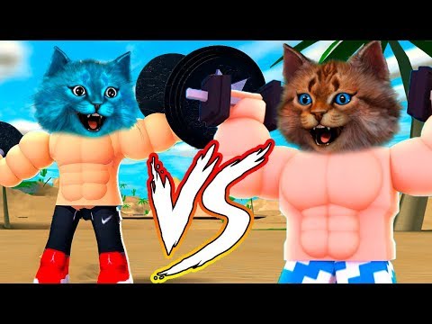 СИМУЛЯТОР КАЧКА В РОБЛОКС! БИТВА КОТИК ИГРОМАН против КОТЁНОК ЛАЙК