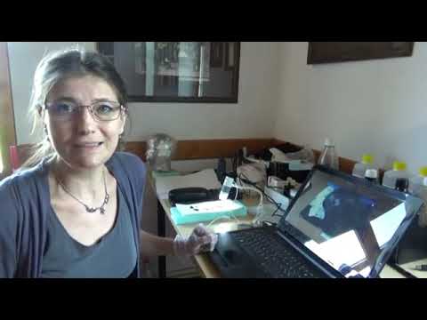 Tizenhatodik századi, meglepően épen maradt főkötőt találtak Sztánán