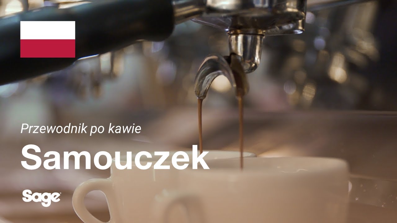 Zrównoważony zaparzony napar