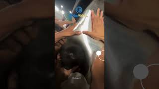 Tak Peduli Saling Berdesakan, Begini Momen Haru Raffi Ahmad dan Rafathar Cium Hajar Aswad