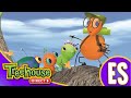 Miss Spider Para Todos Los Gustos La Copa Del árbol Grande Ep 16 Dibujos Animados