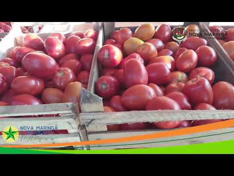 Agricultura Familiar