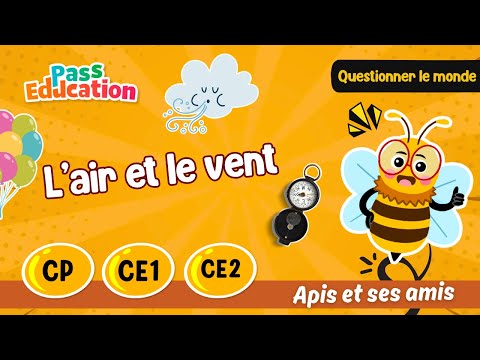 Miniature de la vidéo Apis et ses amis