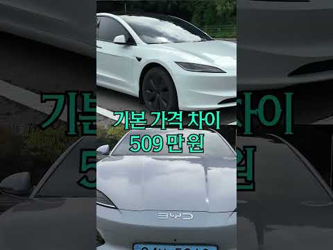 테슬라 모델 3 vs BYD 씰 승자는?