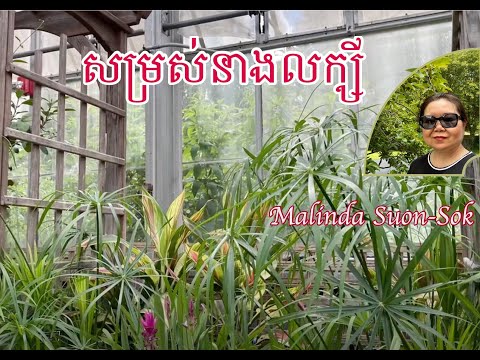 សម្រស់នាងលក្សី🎼