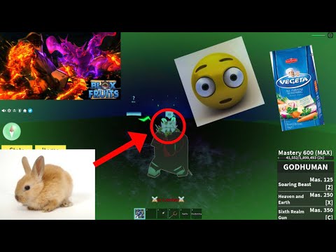 mink v4 red gear omega furry 5.00000000000000 (ahhhh mad people)💀