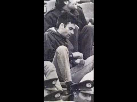 Semenkarenje / Histerical Specijal e01 : Vladimir Sibinović - Sibin