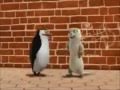 The otter woman Penguins Of Madagascar 