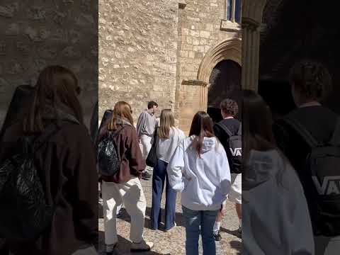 Tapas, churros, Quijote, Picasso a eTwinning