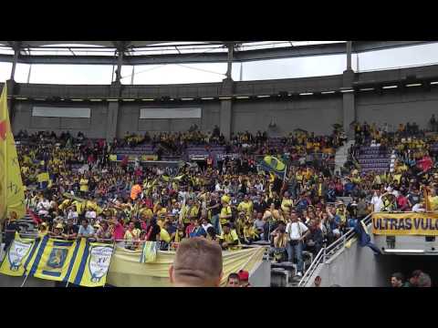 Ici ici c'est montferrand ASM-Toulon 1/2 à Toulouse