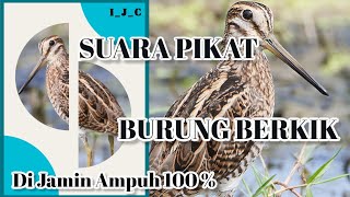 Download lagu 🔴Suara Burung Berkik Burcet Pekungan. Sangat cocok untuk Pikat sing ataupun malam Hari mp3