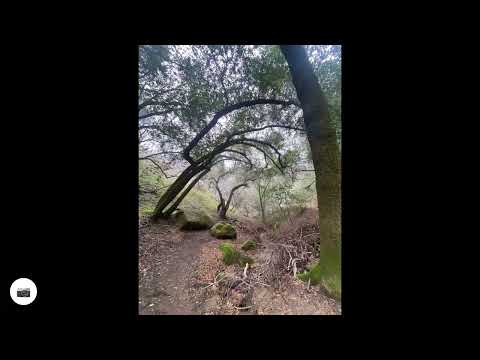 Janeen’s Briones hike From Alhambra creek on Dec. 26,2022